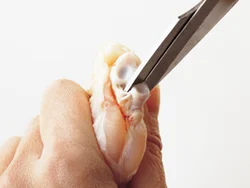 つけ根にある、骨と骨の間に切り目を入れる。肉がはがれやすくなり、食べやすい。