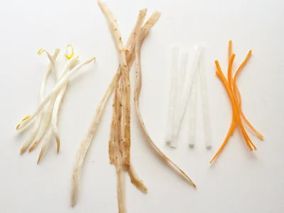 【ベジヌードルって？】包丁や皮むき器、スライサーなどで、野菜を細長く切って麺に見立てて作るのがベジヌードル。もやしのようにもともと細い野菜はそのまま使ってOK。普通の麺に比べてカロリーが抑えられるうえ、食物繊維が豊富なのでとてもヘルシー！