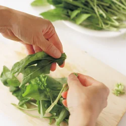 ルッコラは手でちぎるとサラダに動きが出て、見た目が華やかになる。