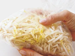 もやしを油でもむと、加熱後に水分が出にくく、シャキッと仕上がる