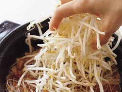 豚肉やしいたけ、酒、オイスターソースの入った煮汁に、もやしを加える
