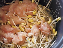 米に豆もやし、ささ身をのせて普通に炊くだけ