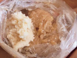 ポリ袋に入った肉だねに、れんこんのすりおろしを加え、袋ごともむと手が汚れない。袋の角を切って絞り出しても。