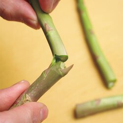 アスパラガスとえびの一口かき揚げ By笠原将弘さんの料理レシピ プロのレシピならレタスクラブ