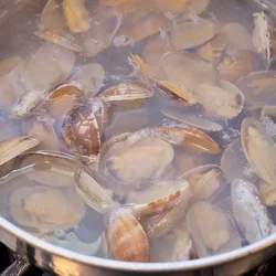 あさりを煮て、おいしいだしをとる
