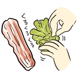 レタスを丸める