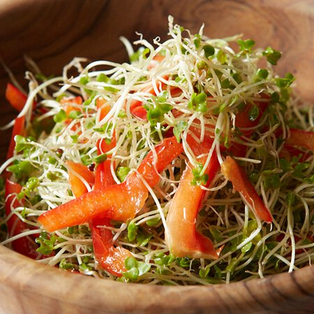 赤パプリカとスプラウトのサラダ By舘野鏡子さんの料理レシピ プロのレシピならレタスクラブ