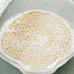 ドライイーストは液体に溶かすと発酵が進みやすくなる。スプーンなどで混ぜるとドライイーストがだまになるので、なるべく重ならないようにふり入れ、自然に溶けて沈むのを待つ。