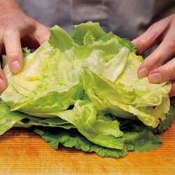 レタスたっぷり肉巻き焼き By笠原将弘さんの料理レシピ プロのレシピならレタスクラブ