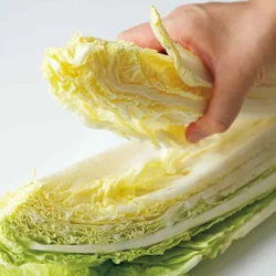 【成長点のある中心から食べる】ビタミン、ミネラルが豊富な白菜は成長点であり、栄養価の高い内葉から食べるのが効率的。内葉がなくなれば外葉の栄養を奪われないので、最後までおいしく食べられます。