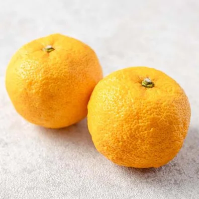【ポイント】
ゆずの食感を楽しみたいときは、ふつうの細切りに。香りだけ楽しみたいときは、なるべく細長く切るのがポイントです。白い部分があまり入らないように皮をむけば、苦味を抑えることができます。冷凍うどんを茹でるのが面倒なら、さっと水にくぐらせて、600Wのレンジで2分30秒、500Wなら3分加熱してもOK。