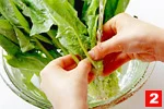 ほうれん草の基本の扱い方(洗い方(2)の画像