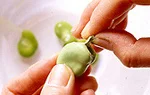 そら豆の基本の扱い方(皮をむく(2)の画像