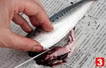 いわしの基本の扱い方(下ごしらえ(3)の画像