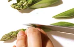 グリーンアスパラガスの切り方(斜め切りの画像