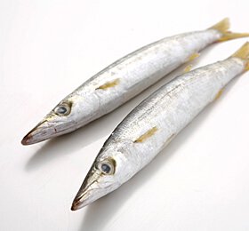 かますの基本情報 プロのレシピならレタスクラブ