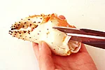 かにのゆでた身の取り出し方(たらばがに)(ツメの画像