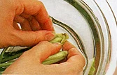 小松菜の基本の扱い方(根元を洗うの画像