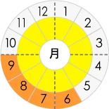 きゅうりの旬と出回り時期画像