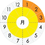 水菜の旬と出回り時期画像