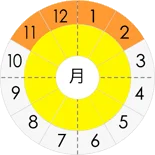 長ねぎの旬と出回り時期画像