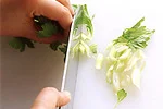 セロリの切り方(葉と細い茎は細かく刻むと食べやすいの画像