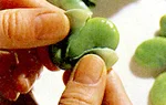 そら豆の基本の扱い方(皮をむく(1)の画像