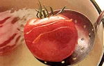 トマトの基本の扱い方(皮をむく（湯むき）の画像