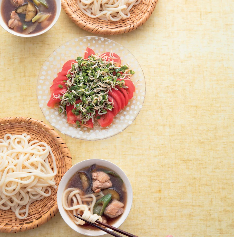 とり肉となすのつけうどん