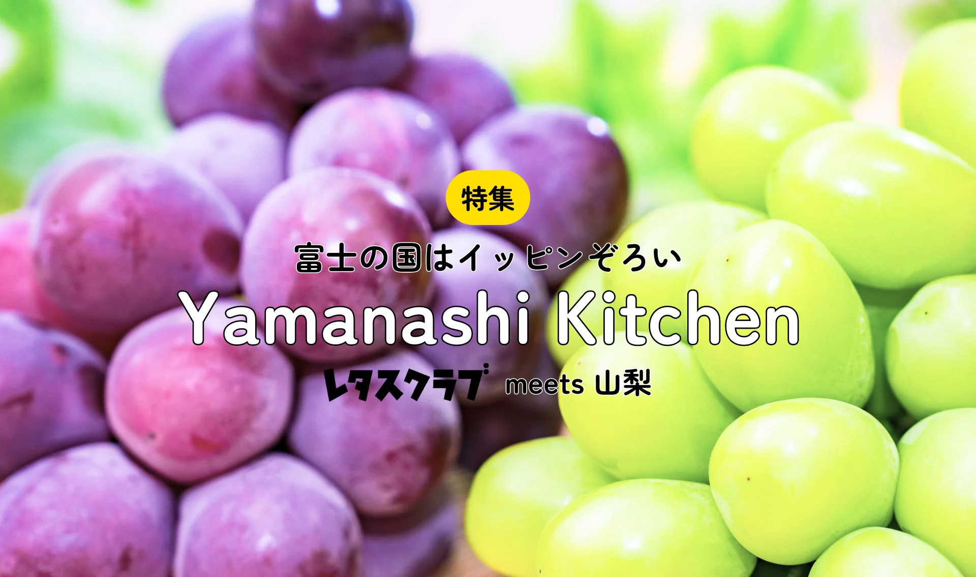 富士の国はイッピンぞろい YAMANASHI KITCHEN
