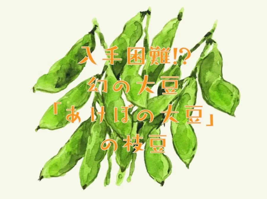 幻の大豆「あけぼの大豆」の枝豆