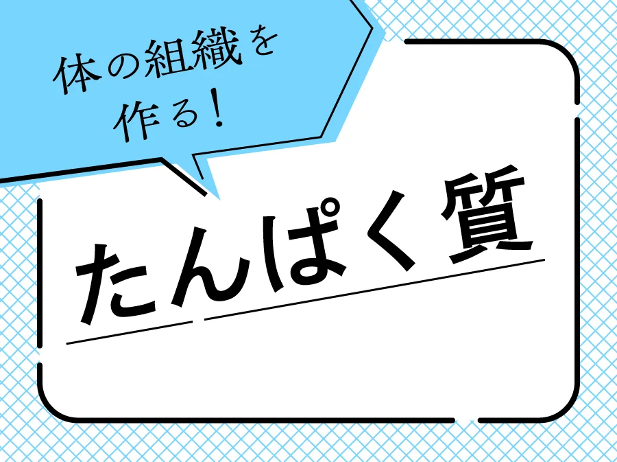 体の組織を作る栄養素！