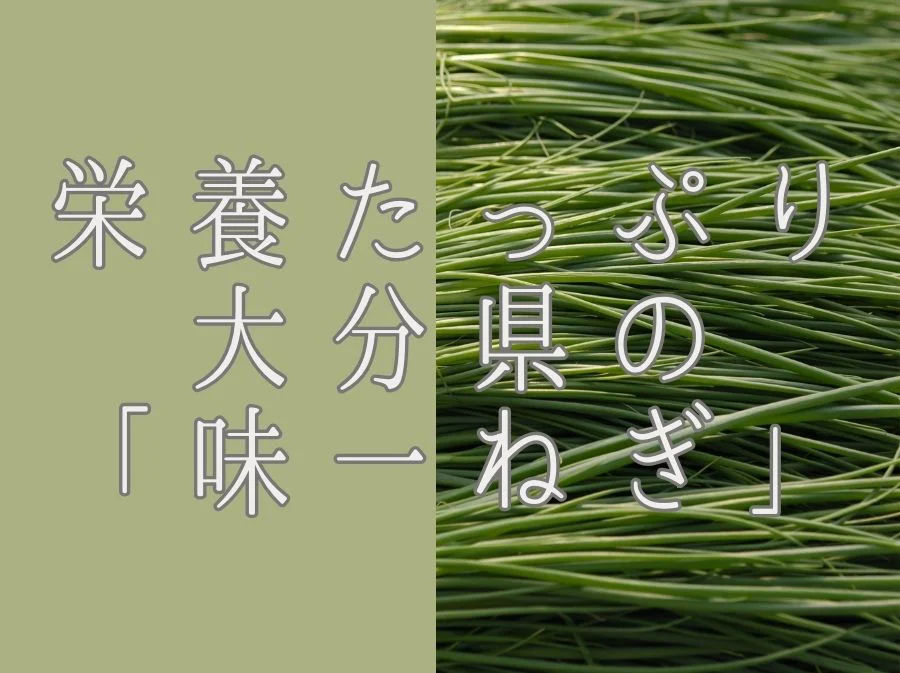 栄養たっぷりの大分県のこねぎ「味一ねぎ」