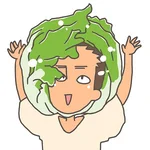 かちょこ（レタスのすがた）