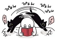 「ボク！ここにいるんです！」読書に夢中な飼い主へのアピールが可愛い黒猫