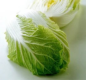 白菜の基本情報